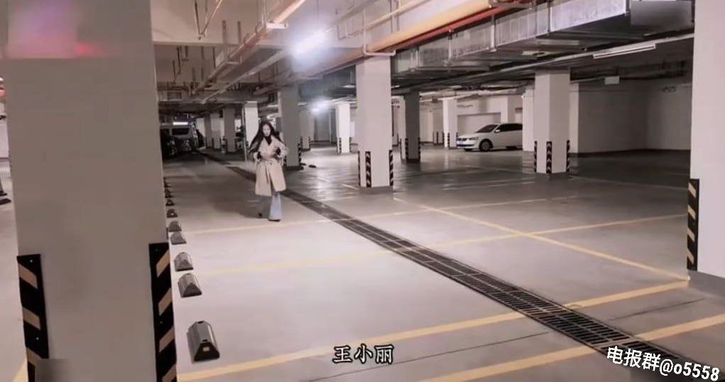 クライマックスオンライン再生 ,山寨版黄蓉色情史